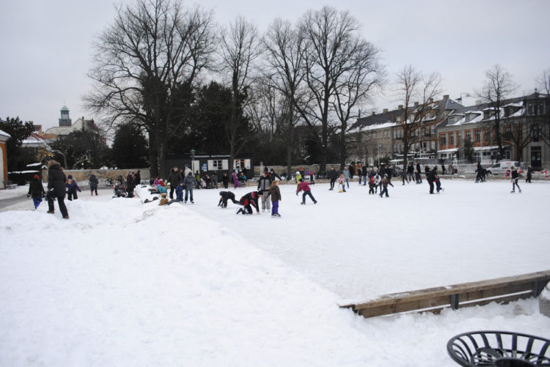 Ice skating in Copenhagen in winter