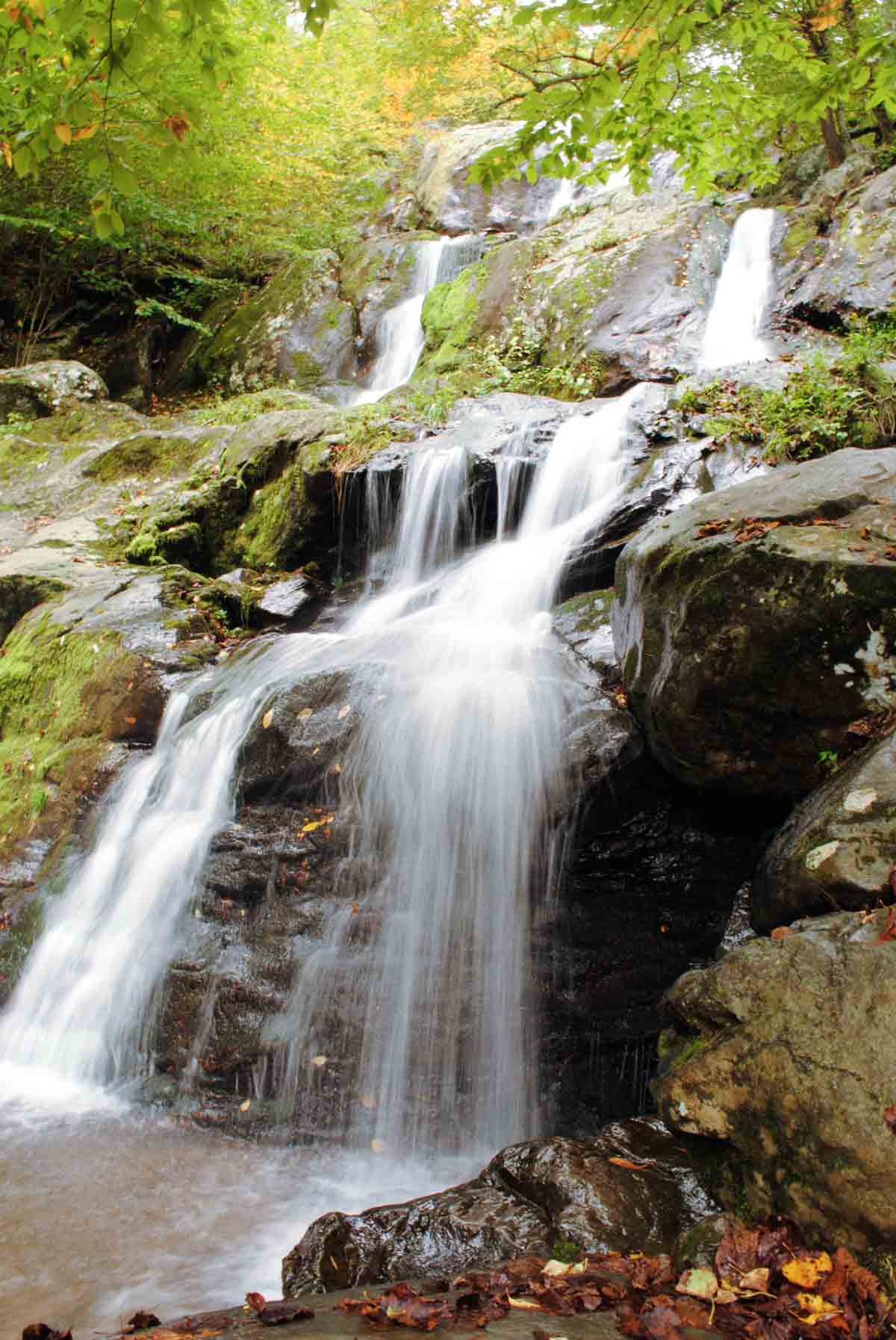 The Falls at Rock Hollow hiking trail Shenandoah National Park
