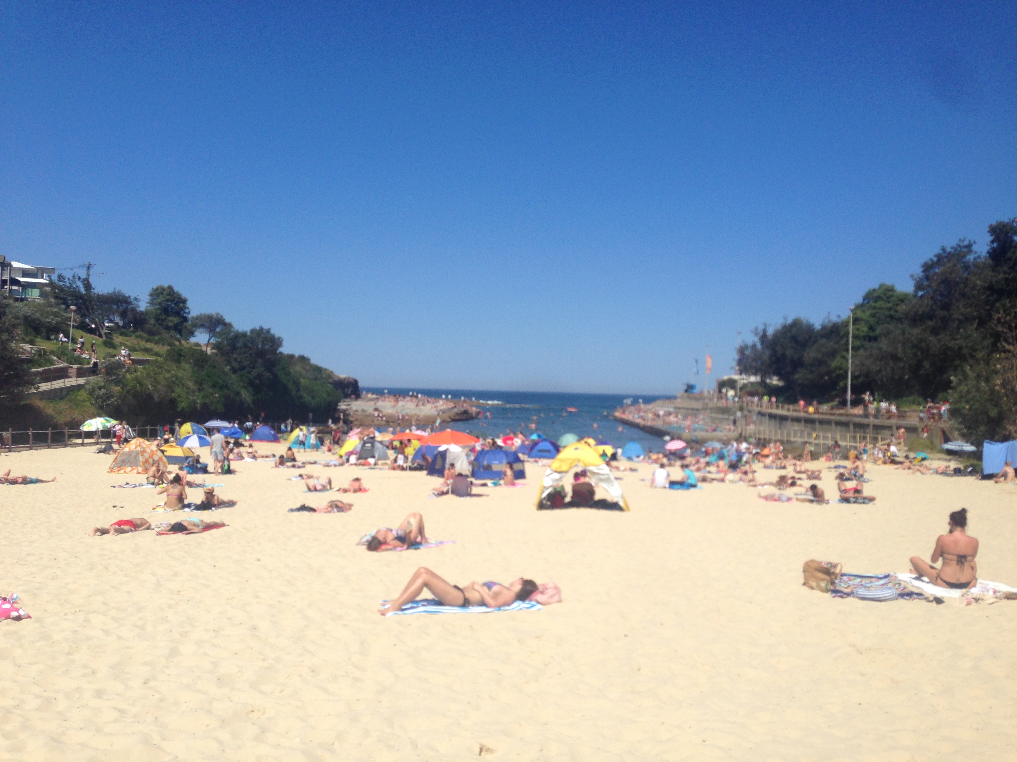 Clovelly Beach