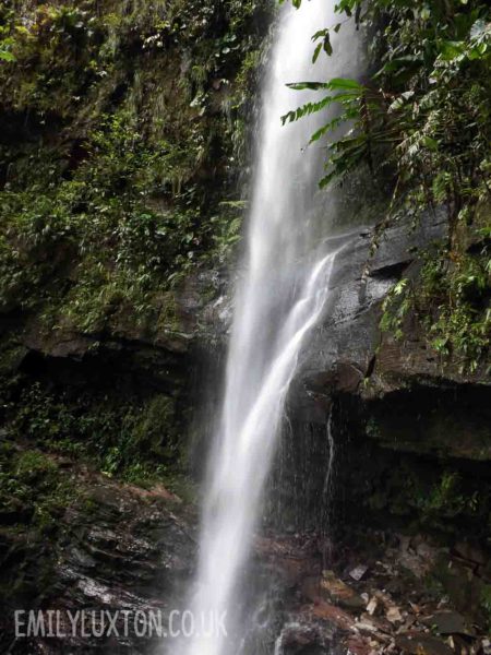 Cataratas de Ahuashiyacu waterfall bolivia