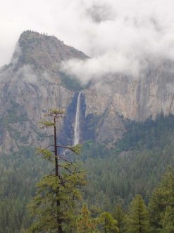 Half Dome in Yosemite National Park CA