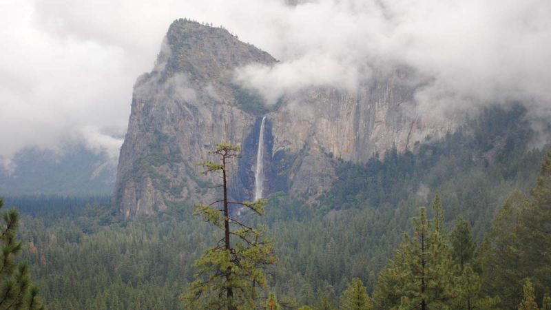 Half Dome in Yosemite National Park CA