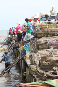 Crab catching in Kep Cambodia