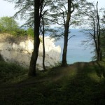 View of the white cliffs from the top