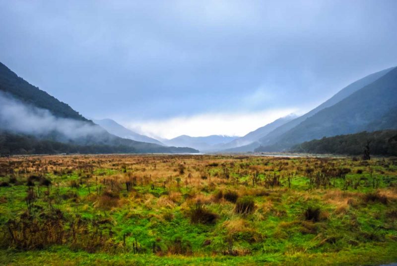 Mountains and field by the side of the road in New Zealand South Island