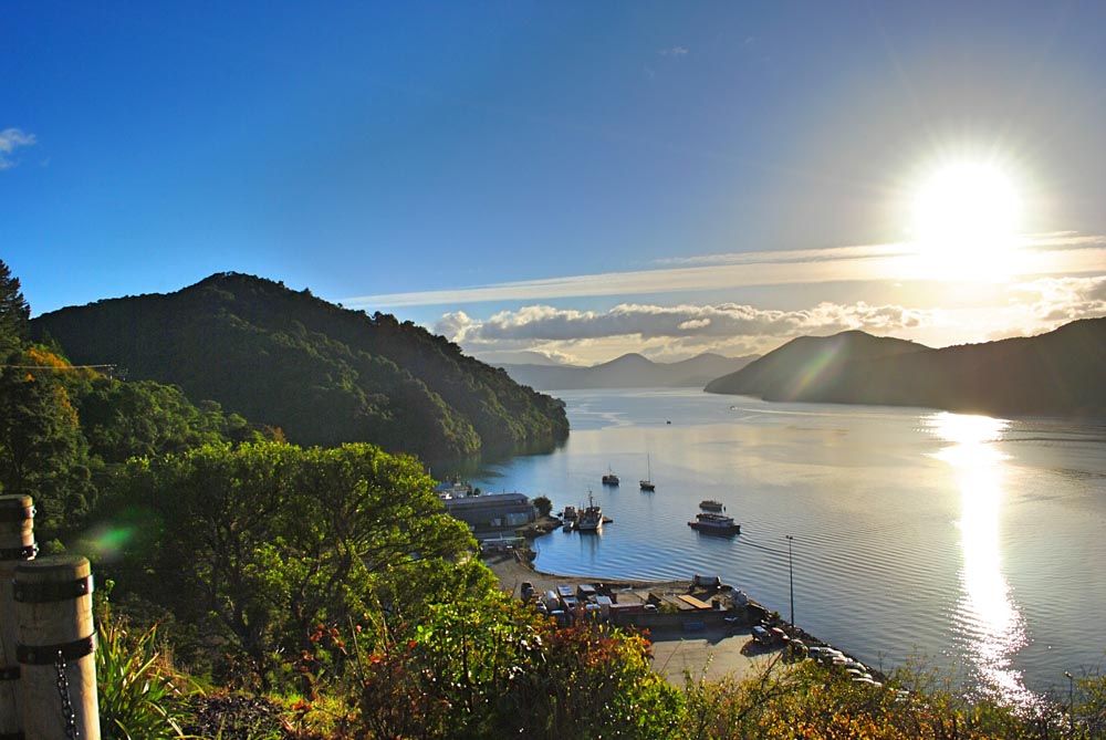 Picton Harbour