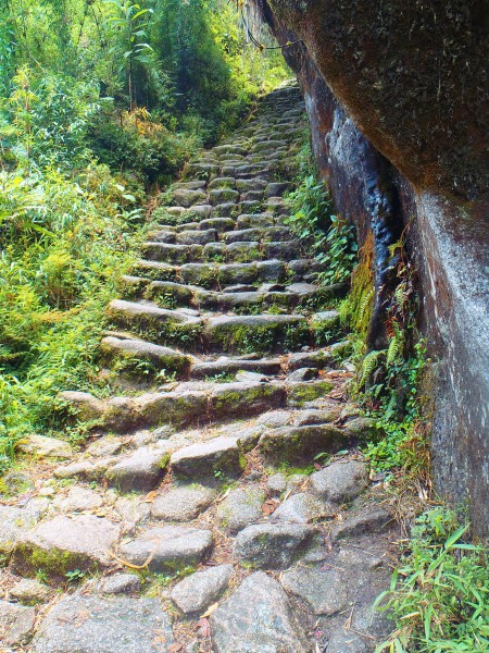 Inca Trail Path - Peru