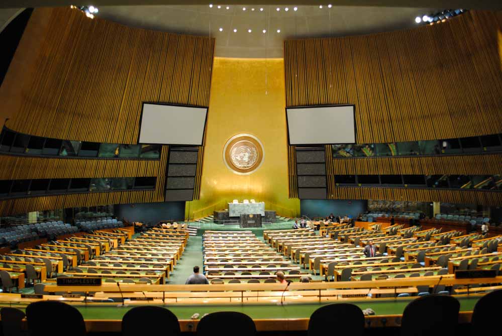 UN General Assembly