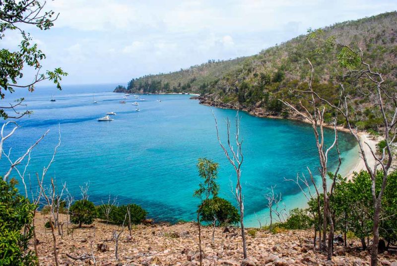 Blue Pearl Bay from Hayman Island