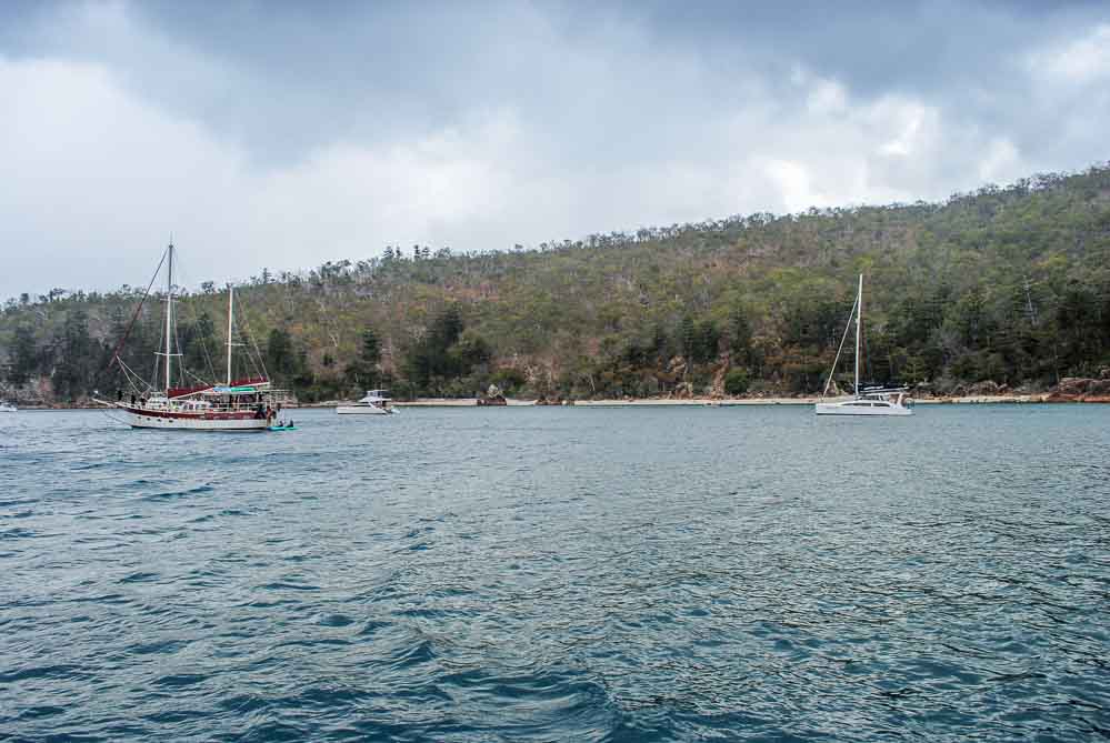 Snorkelling in the Whitsundays