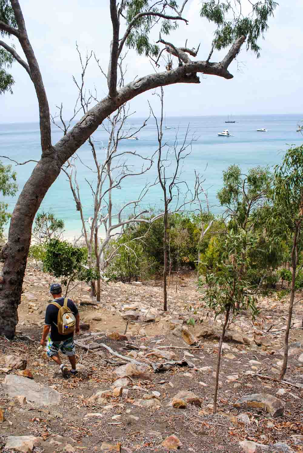 Hayman Island hike - taking a shortcut