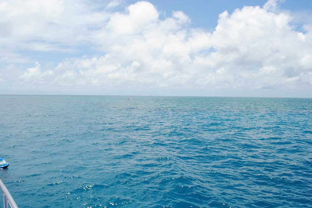 Taking the tender out to Bait Reef GBR in the distance