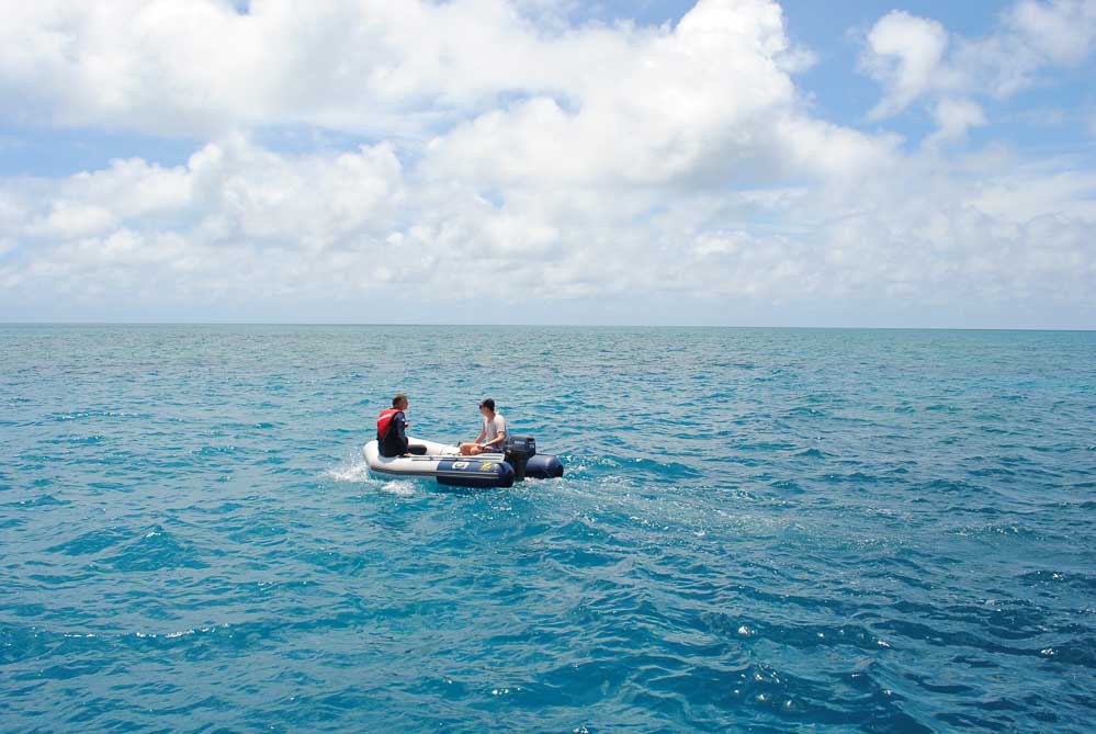 Taking the tender out to Bait Reef GBR