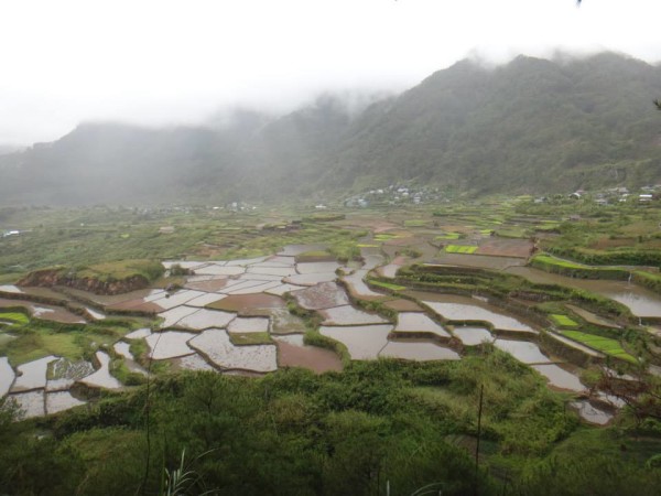 Rice terraces in Sagada, Philippines