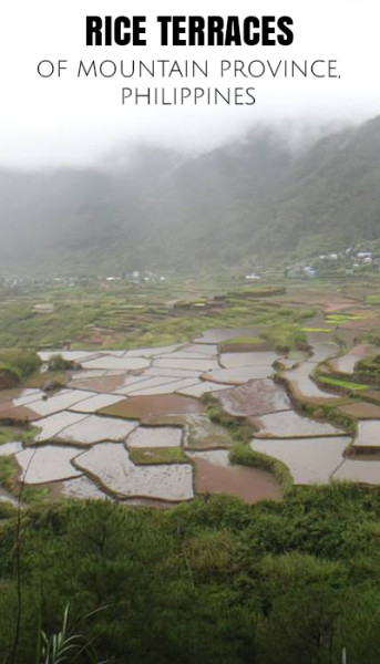 rice terraces mt province philippines