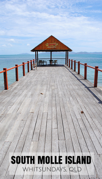 South molle island jetty