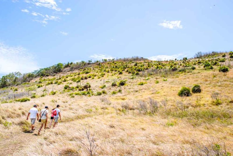 South Molle Island Hike Whitsundays