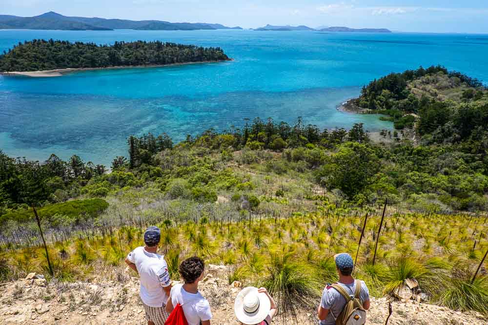 South Molle Island Hike - half way up