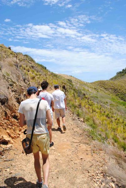 South Molle Island Hike - the Fellowship