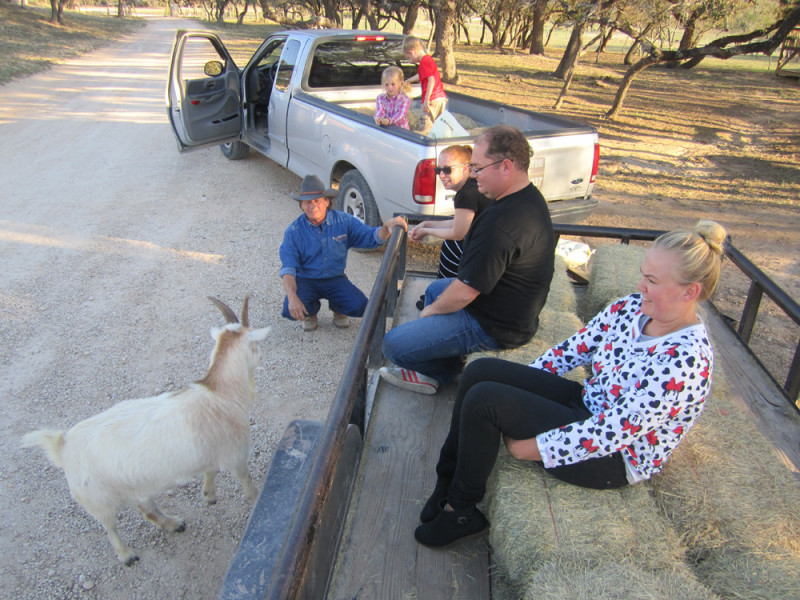 Stopped to see the goats on a the hay ride.