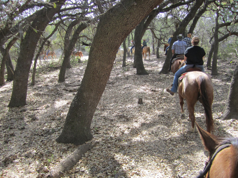 Horse riding around the silver spur bandera