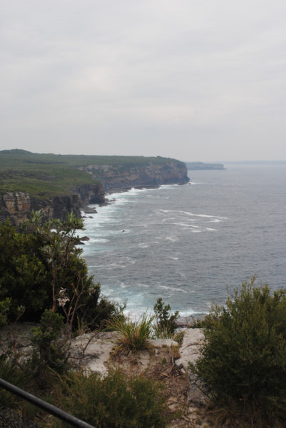 Coast of Booderee National Park from Cape St George Lighthouse
