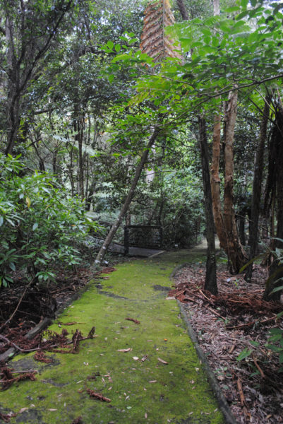 Lush Green paths around Booderee Botanical Gardens