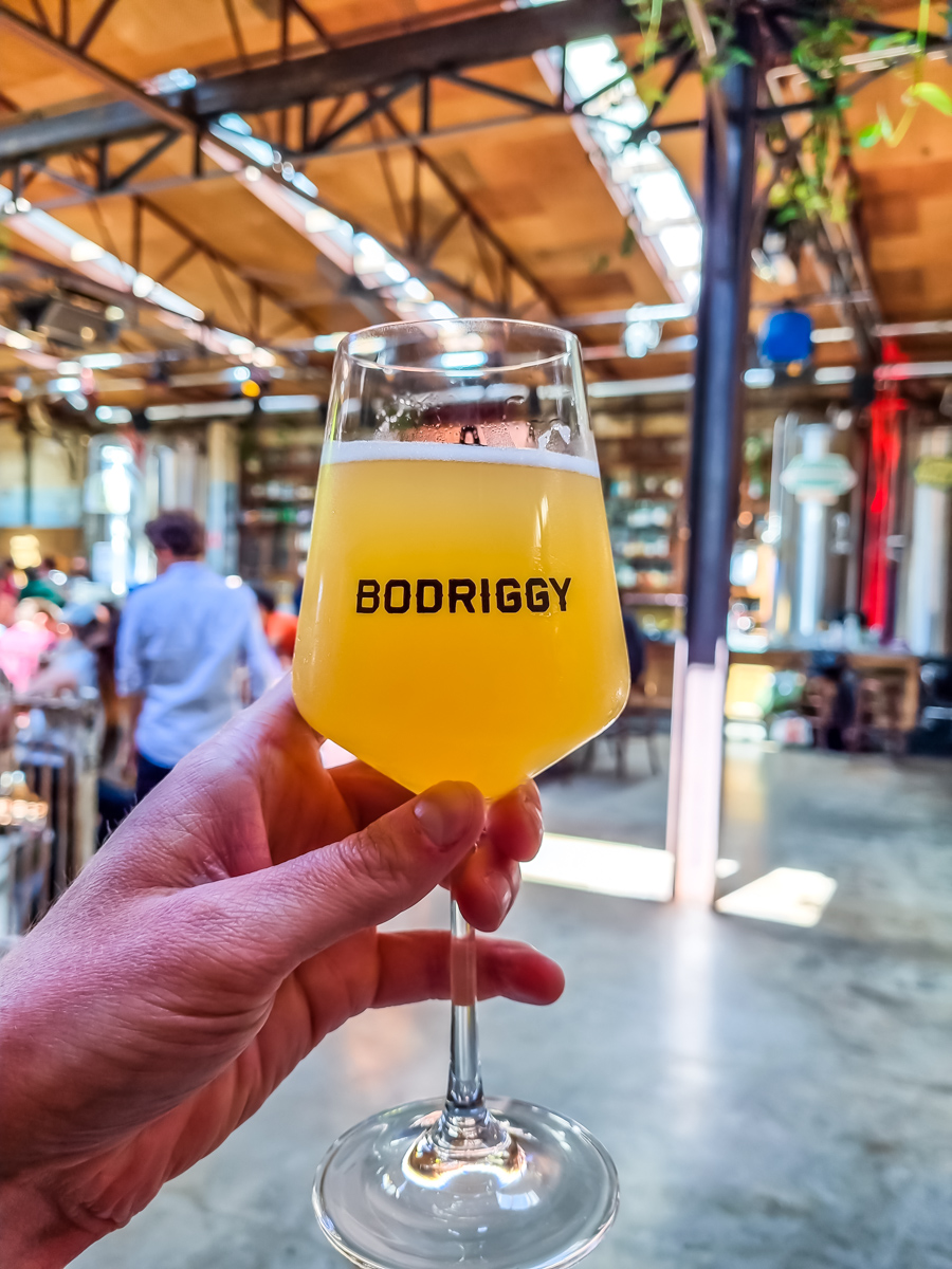 Beers at Bodriggy Brewing, Abbotsford