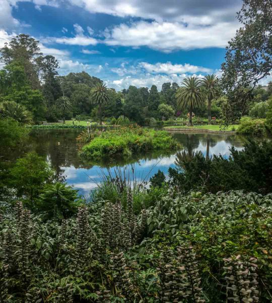 Melbourne Botanic Gardens