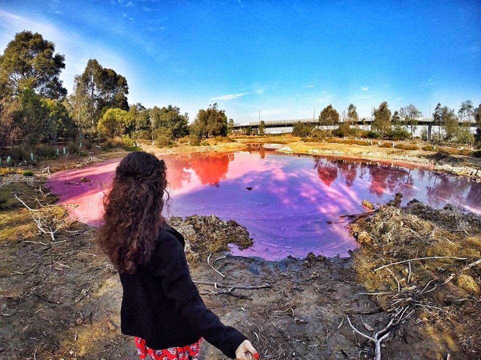Pink Lake in melbourne