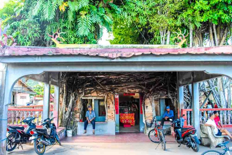 Banyan temple in Senggarang village Bintan