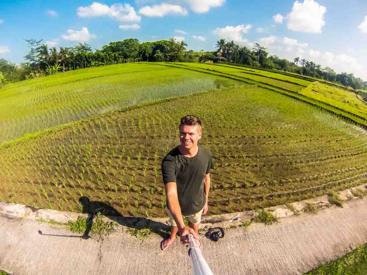 Rice Fields during VW Safari Bali