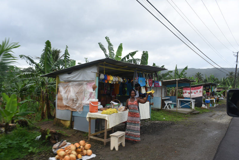 Street Vendors along the main highway of St Lucia