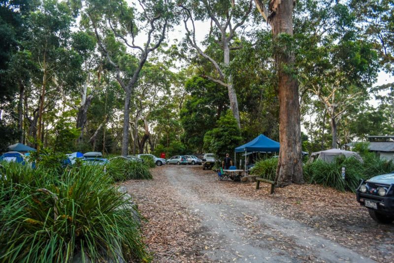 Green Patch D Campground Booderee National Park, Jervis Bay, NSW