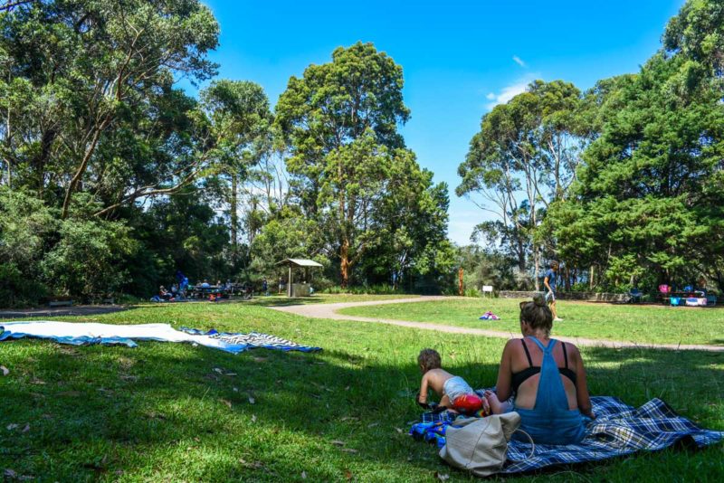 Greenfield Beach Picnic area