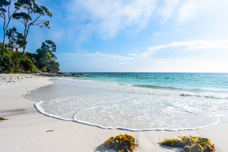 Hyams Beach Jervis Bay NSW wave