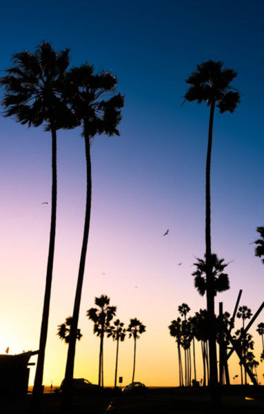 Venice Beach: beautiful colourful sunset lighting up the Atlantic. 