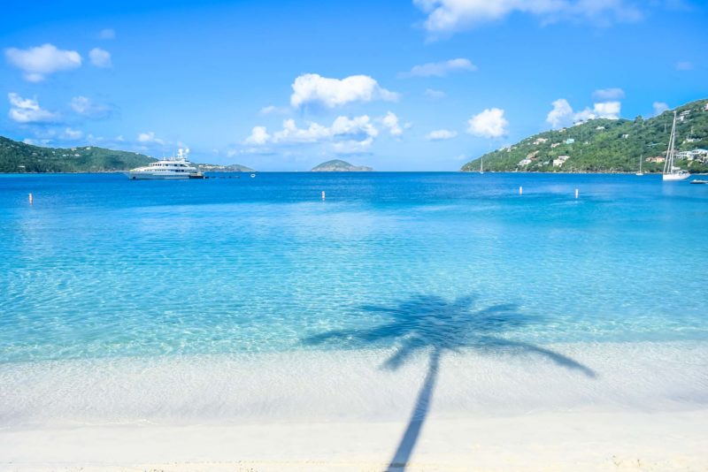 Magens Bay St Thomas with palm tree silhouette