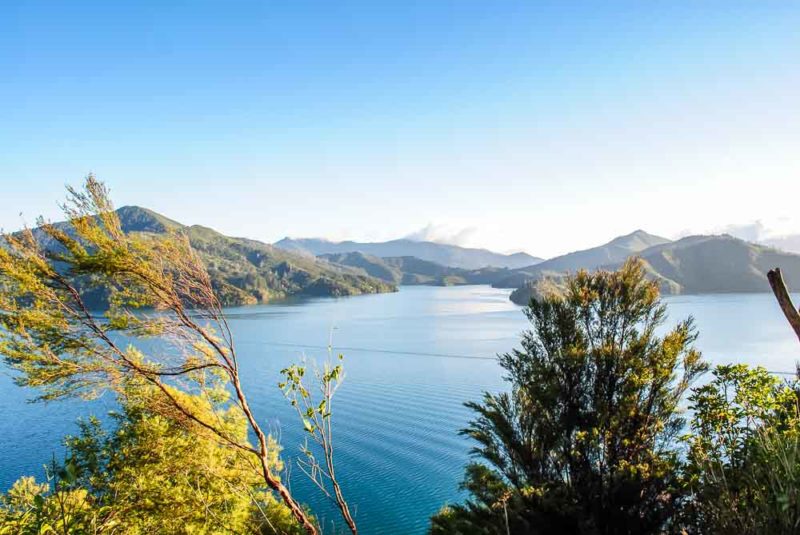 Marlborough Sounds along Queen Charlotte Road between Picton and Nelson
