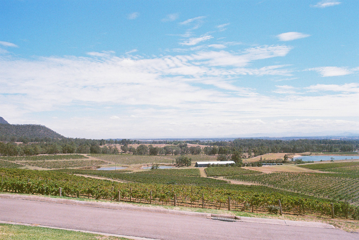 Audrey Wilkinson view, hunter valley