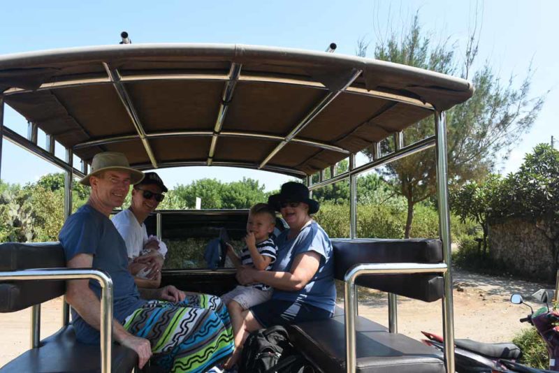 The pickup trucks that share the Lembongan roads with scooters