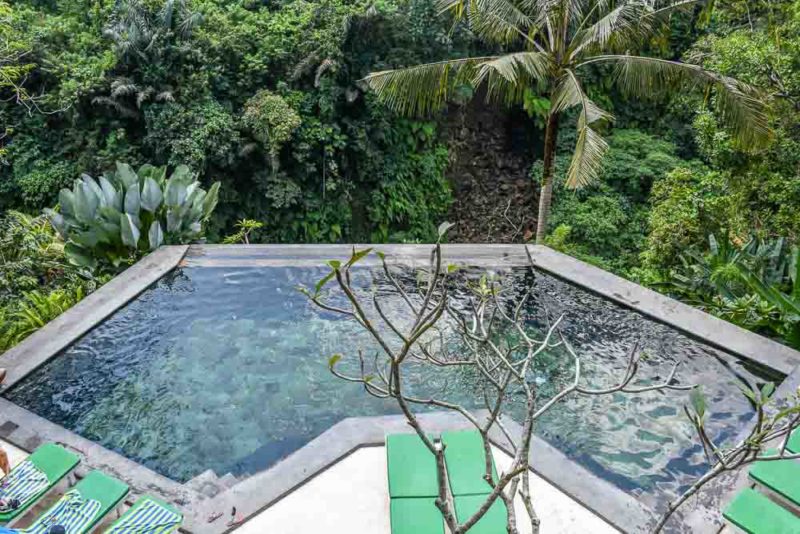 Infinity Pool at the Beji Ubud Resort, Bali