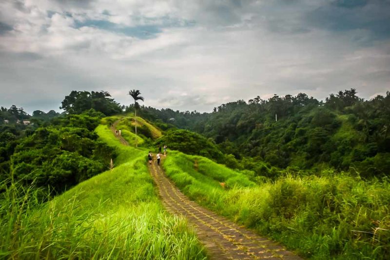 Campuhan Ridge Walk Ubud Bali