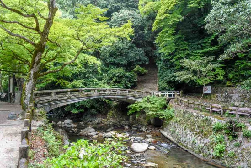 Walking along Minoo Park Osaka