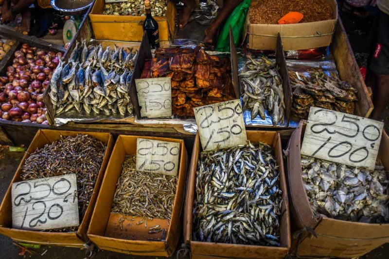 Fish for sale in Pettah market Colombo