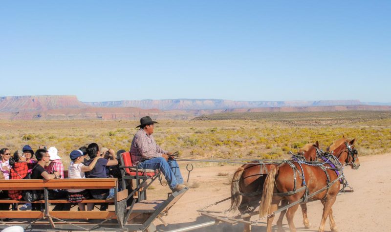 Horse drawn wagon ride at Hualapai Ranch and Grand Canyon west