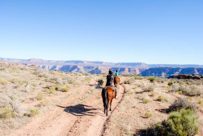 Horse ride to the Grand Canyon edge at Hualapai Ranch Arizona
