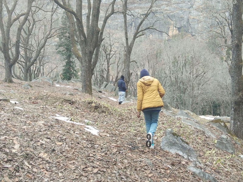 A walk in the Woods. Photo by the Winged Fork