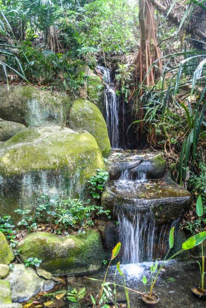 Waterfall along the Sentosa Nature Dicovery Trail Singapore