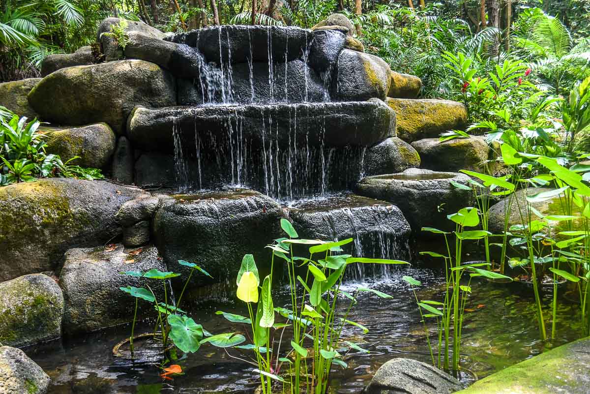 Waterfall along the Sentosa Nature Dicovery Trail Singapore